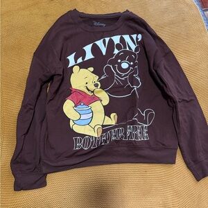 Disney Brown Winnie the Pooh Hoodie Sweatshirt